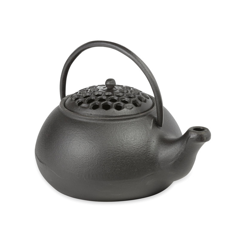 Bouilloire à vapeur
