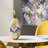 Bramwell Porcelain Vase- Tall