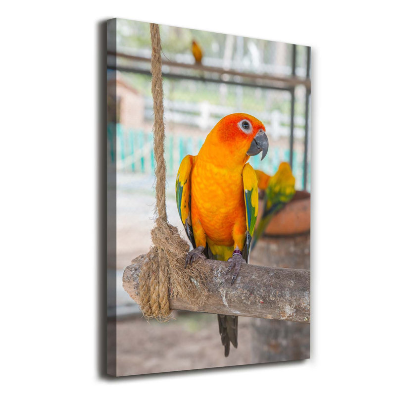 Parrot - Wrapped Canvas Print