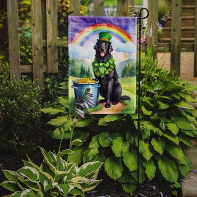 Double Sided 15.5'' H x 11.25'' W Polyester St Patrick's Day Garden Flag