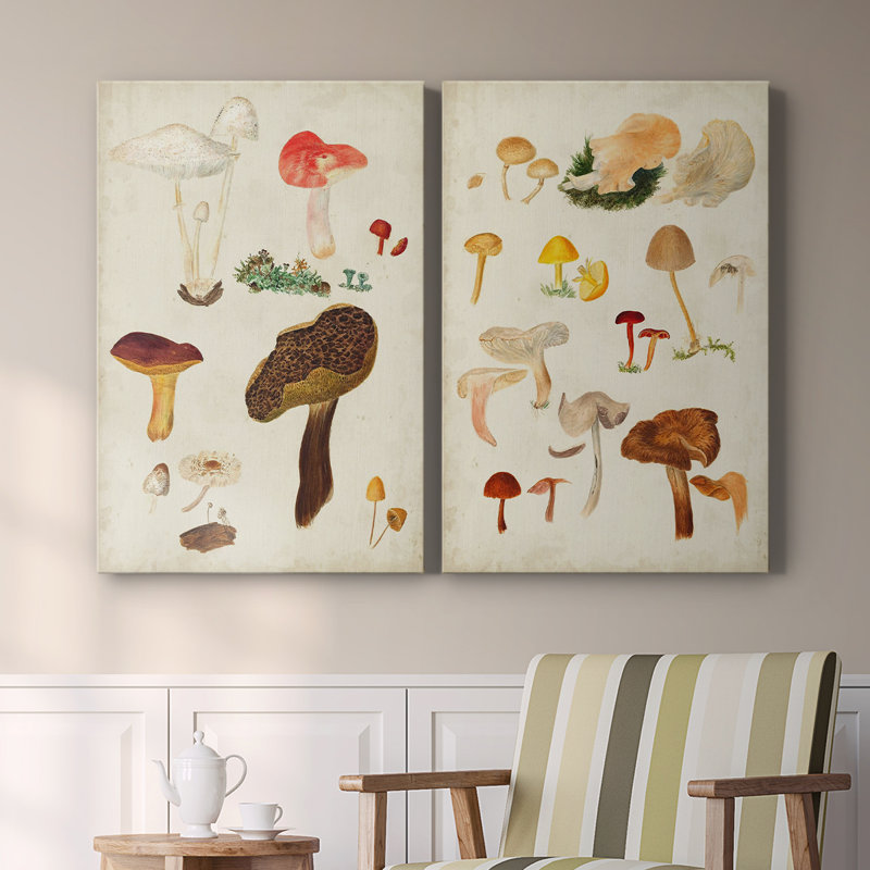 Toile tendue avec châssis Mushroom Species, H 36 po x l 48 po