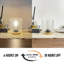 Albara Table Lamp-1686826363