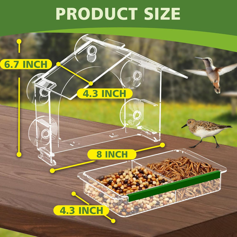 Window Bird Feeder with 5 Extra Strong Suction Cups