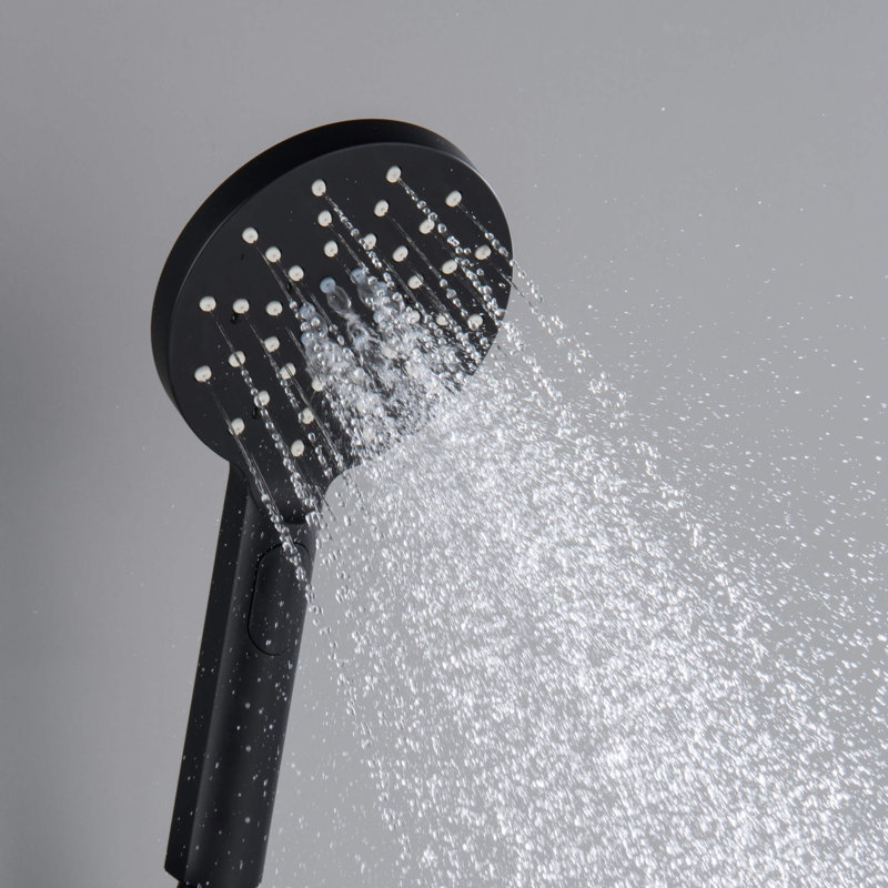 Full/Standard Handheld Shower Head 1.75 GPM GPM, Matte Black