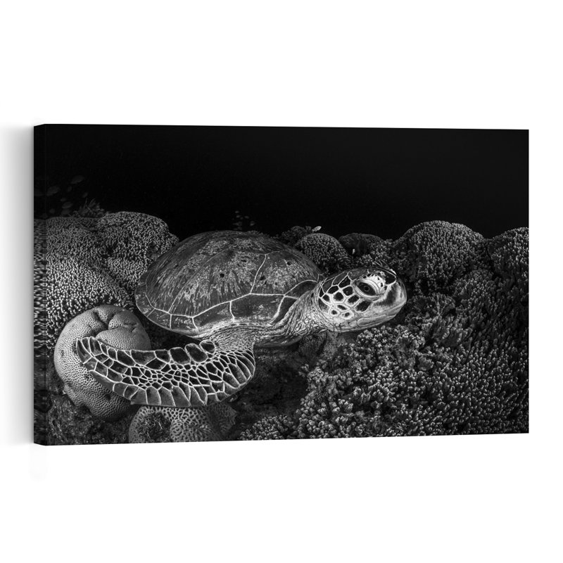 Serene Sea Turtle Peaceful Serene Contemporary Turtle Nature Ocean Wall Art Print 1 Piece Wrapped Canvas Wall Art