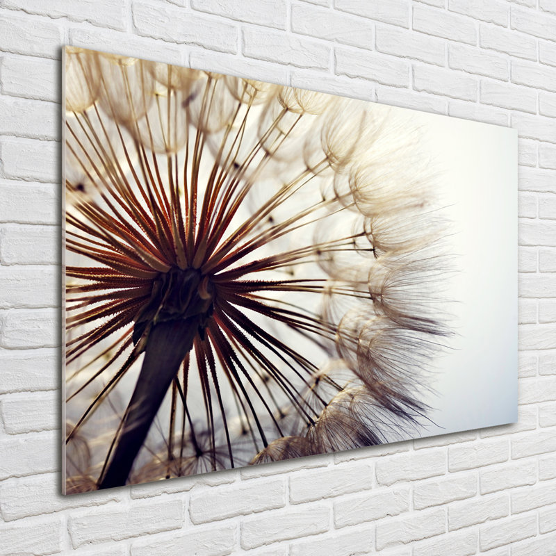Dandelion - No Frame Print on Glass