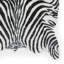 Animal Print Digitally Printed Area Rug-1294924359