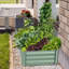Lit de jardin surélevé en métal Olexandr