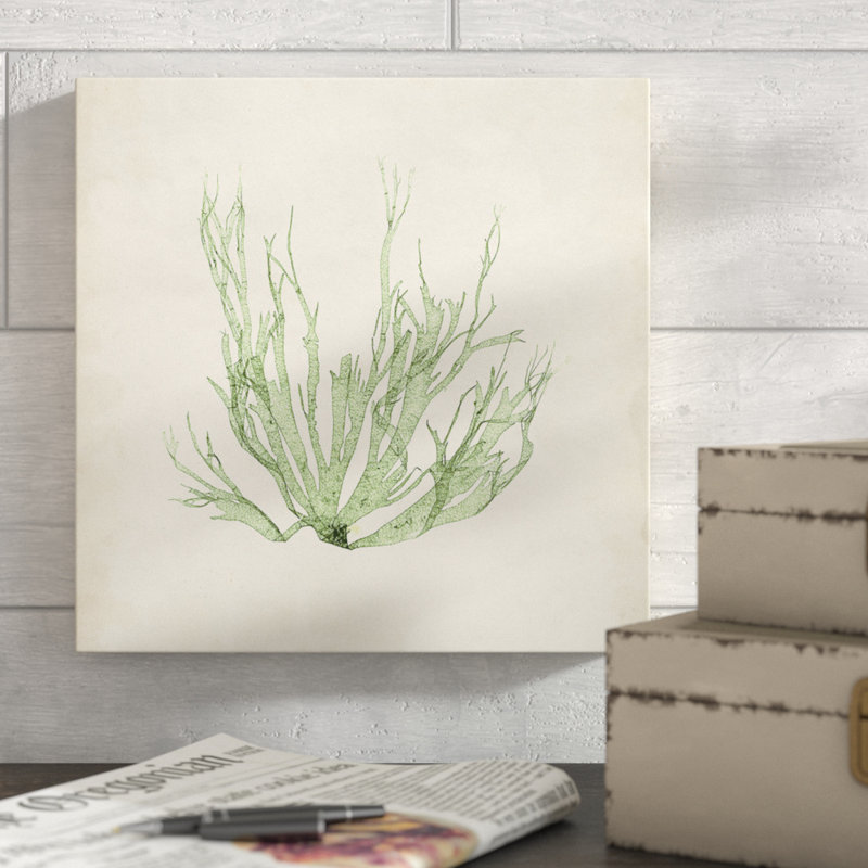 « péridot algues iv », reproduction d’impression sur toile tendue, H 12 po x l 12 po x P 1,5 po, Toile tendue, Pas de tapis