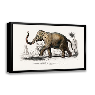 Éléphant - estampe numérique sur toile avec cadre flottant_