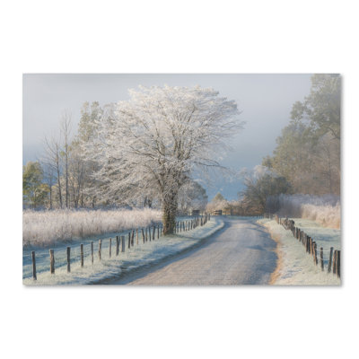 Art mural sur toile tendue - "A Frosty Morning" par Chris Moore pour décoration de salon, de chambre à coucher ou de bureau - 16 x 24