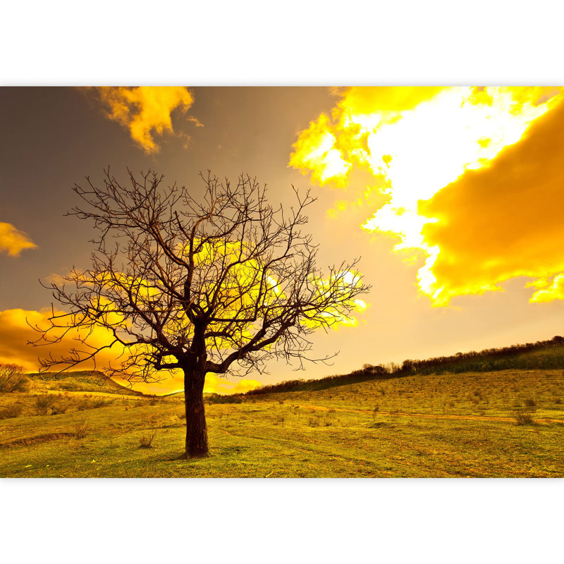 Forest Nature Landscape Border, 100" L x 144" W