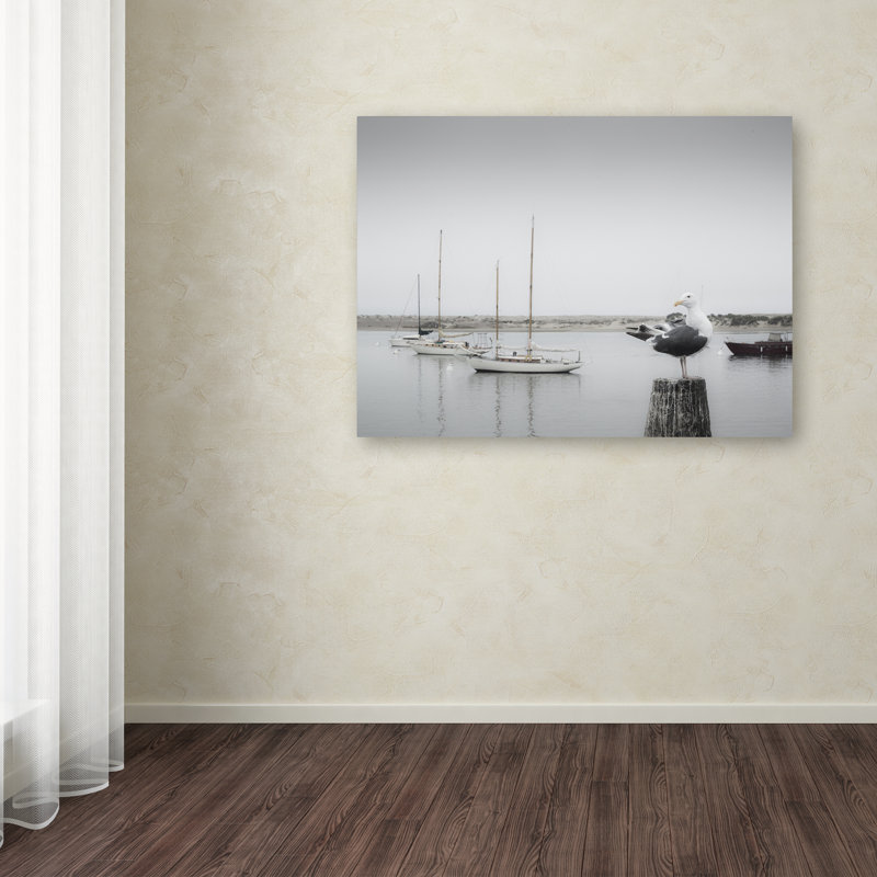 Gray and White Seagull with Boats Canvas Art, 14 x 19