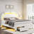Upholstered Modern LED Bed With APP & Remote Control, White-2015071082