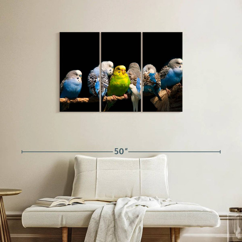 Budgerigars sur une corde, H 24 po x l 38 po