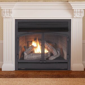 Duluth Forge 27.62'' W Ventless Fireplace Insert & Reviews 