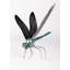 Awesome Insects Dragonfly Figurine
