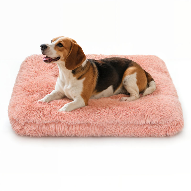 Coussin de siège pour animal de compagnie, Rose, Moyen (H 5,5 po x l 34,5 po x P 26 po)