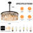 Aurthur 9 - Light Dimmable  Black Round Crystal Chndelier Flush Mount