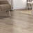 Parkland Reclaimed Pecan 9 in. x 60 in. 5mm 12mil Waterproof Rigid Core Luxury Vinyl Plank Flooring-60967745