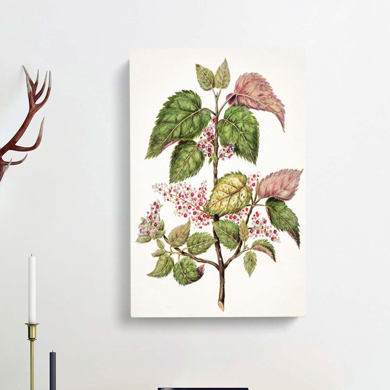 Pink Flowering Flowers by Sarah Featon - Wrapped Canvas Painting, 60cm H x 40cm W x 3cm D
