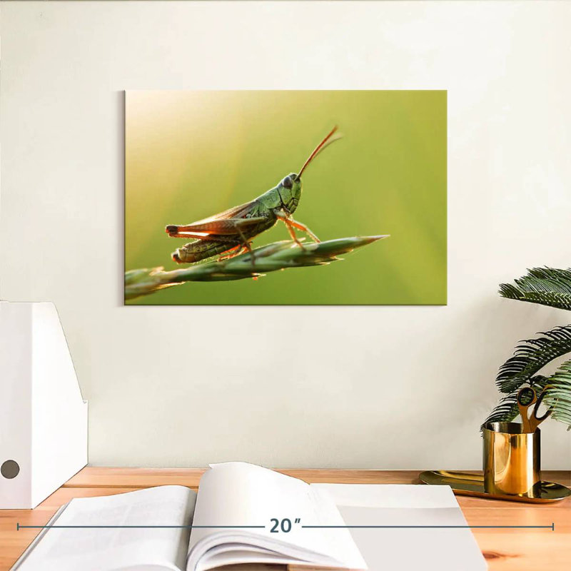 Grasshopper, 8" H x 12" W