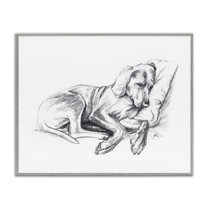 «Napping Dog», estampe numérique par Lindsay Kivi Fine Art, Estampe numérique Farmhouse, H 11 po x l 14 po