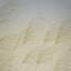 Miscanthus-1138477132