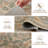 Washable Area Rug Boho Non-Slip Insect Botanical Carpet for Living Room, Bedroom, Dining Room, Playroom, Office – Indoor Throw Rug, Farmhouse Home Decor, Under Table Brown 5*7-1451897927-1451897929