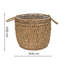 Pot Planter