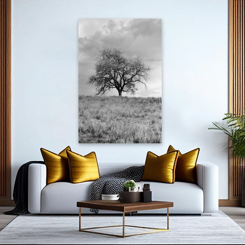 Coastal Oak Series No. 26 - Paysages, photographie, arbres, art, H 60 po x l 40 po
