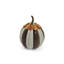 Harvest Glow Paprika Stripe Pumpkin-266096504-266096506