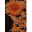 One-of-a-Kind 6'3x6'7 Area Rug