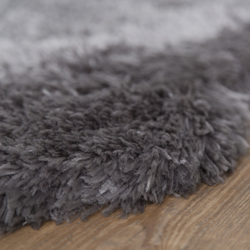 Rudisill Hand Tufted Indoor Rug