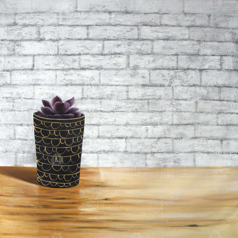 Succulent in a Pot - Toile de cactus floral pour la décoration intérieure, H 37,25 po x l 37,25 po