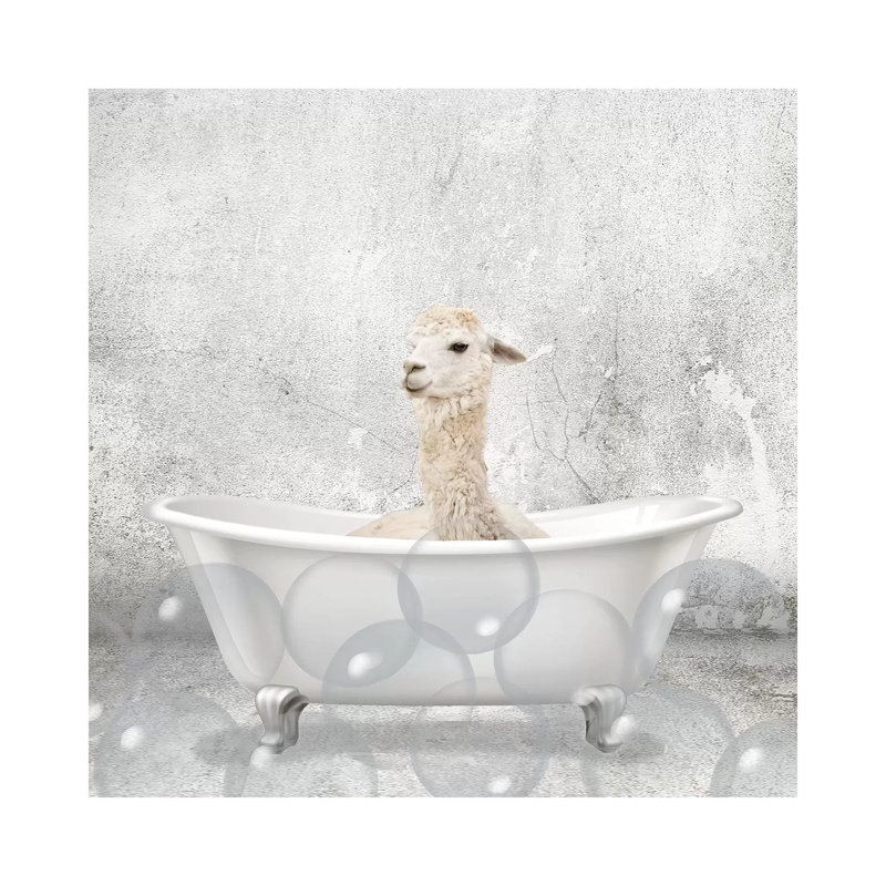 «Baby Llama Bath» par Kimberly Allen - impression d'art graphique, H 12 po x l 12 po x P 0,75 po, Toile tendue