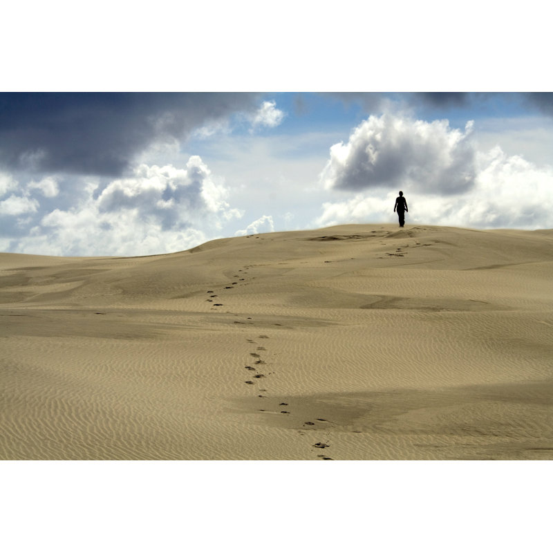 Walking In The Desert by Traveler_no1 - Wrapped Canvas Print, 30cm H x 46cm W