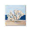 Highland Dunes, océan, corail, nature morte, art giclée par Ethan Harper-446192329-446192328
