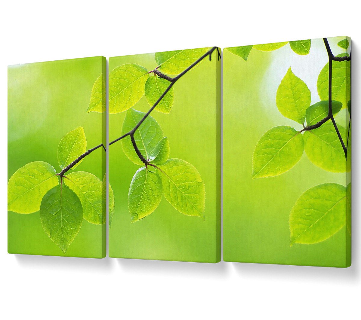 Ebern Designs Branch with Green Leaves in the Sun - 3 Piece Wrapped ...