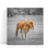 Cheval avec poulain - reproduction d'art sur toile