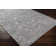 Paxson Indoor Rug