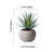8'' Evergreen Grass in Stone Pot-828507521