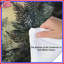 Sunlight Through Ferns Comforter-125233164