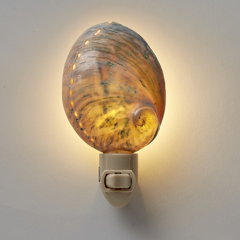 Polished Greenlip Abalone LED Night Light