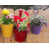 Rose vif / bleu / violet est en rupture de stock