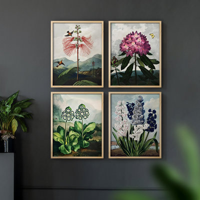 Vivaciously Changing II Framed Print - Set of 4