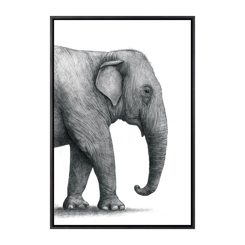 «Elephant Study» par Terry Fan - impression, Pas de tapis, H 60 po x l 40po x P 1,5 po, Toile avec cadre noir patiné