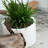 Handmade Pot Planter-373333278-373333237