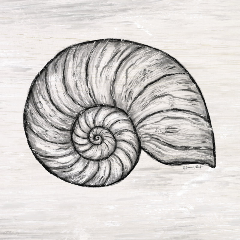 Shee Nautilus Shell par Annie Lapoint, H 12 po x l 12 po