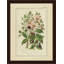 Wild Fruit IV Print